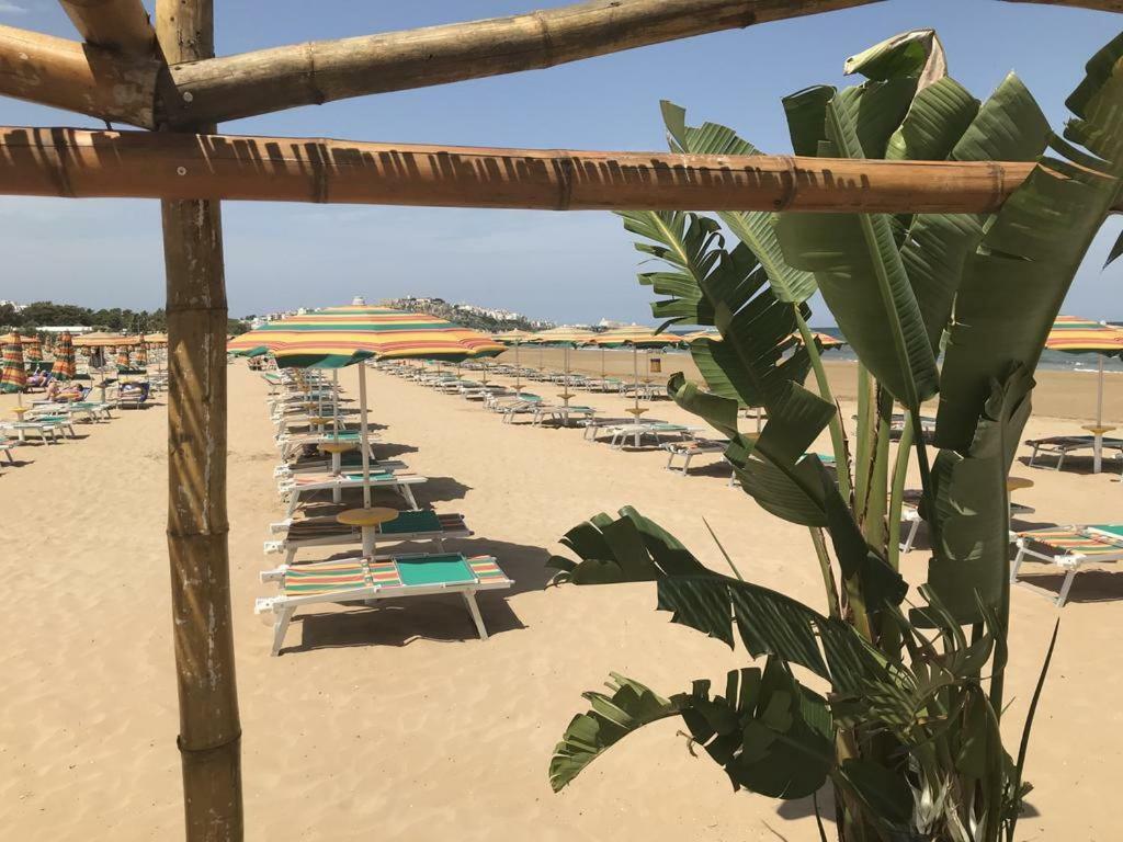 Villa Margherita Βιέστε Εξωτερικό φωτογραφία